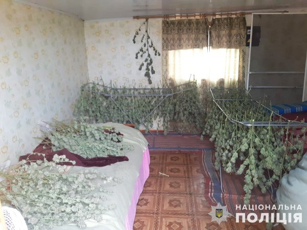 Поліція затримала в Запоріжжі чоловіка, який зберігав наркотики на суму 5 мільйонів гривень (ФОТО)