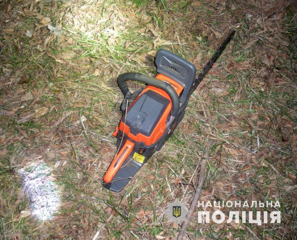 В Запорізькій області поліція викрила вже більше 50 випадків незаконної вирубки лісів (ФОТО)